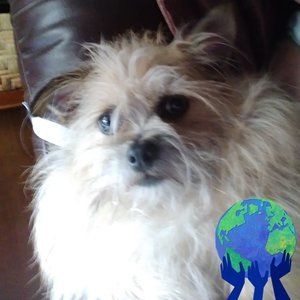 Meet your Posher, Claudia